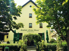 Hotel-Landgasthof Grüner Baum - Dittigheim